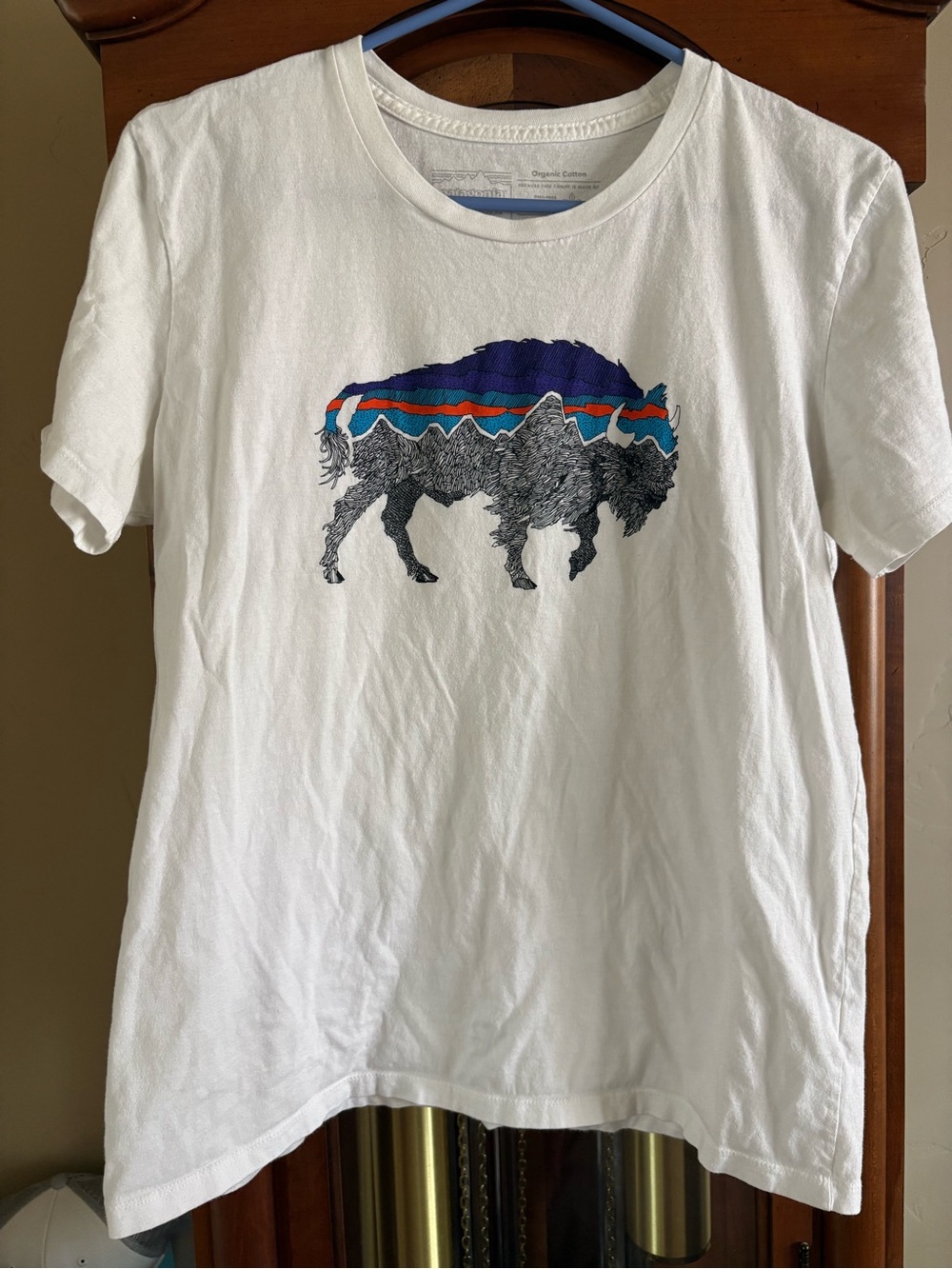 Patagonia White Tee with Navy and Teal Graphic bison tee.